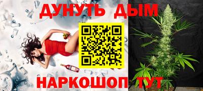 сатива Будённовск