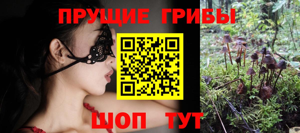 Псилоцибиновые грибы GOLDEN TEACHER  Вход с VPN  Всеволожск 